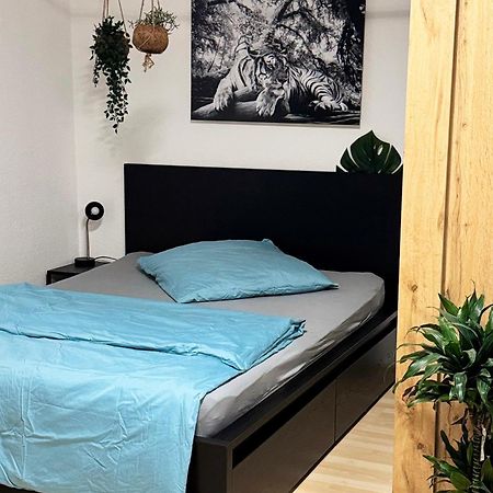 Zentrumnah Inklusive Parkplatz Jungle-Suite By Rentigo - Ruheoase Im Herzen Von Saarbruecken! 外观 照片